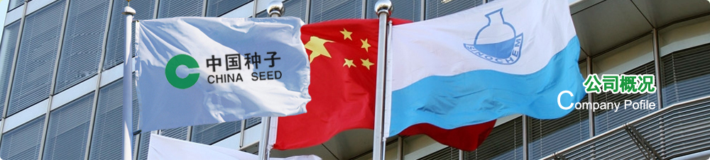 头号app下载